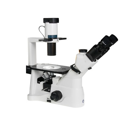 Kính hiển vi soi ngược IN.2003-PL